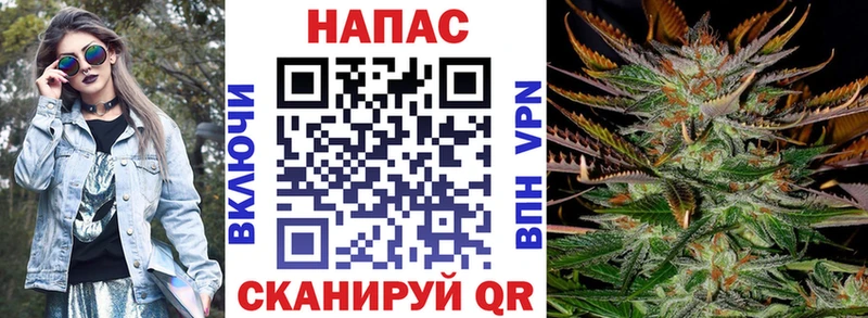 Шишки марихуана планчик  Холмск 